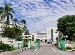 Upper Changi Road (D16), Terrace #503642771